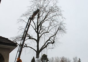 IMG 7096