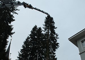 IMG 9264