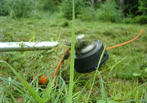 1 Titel